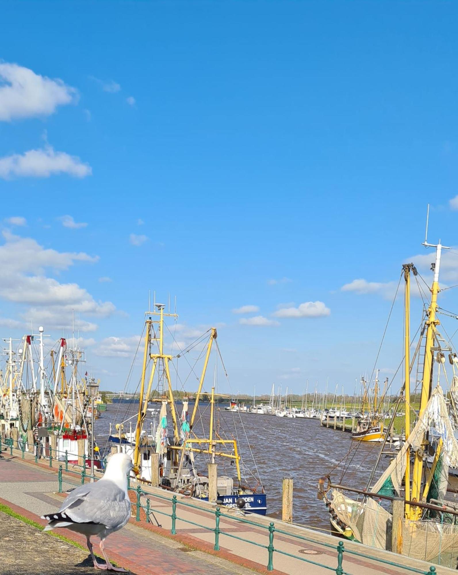 Ferienhaus Nordseeglueck Im Ferienpark Berumbur Bagian luar foto